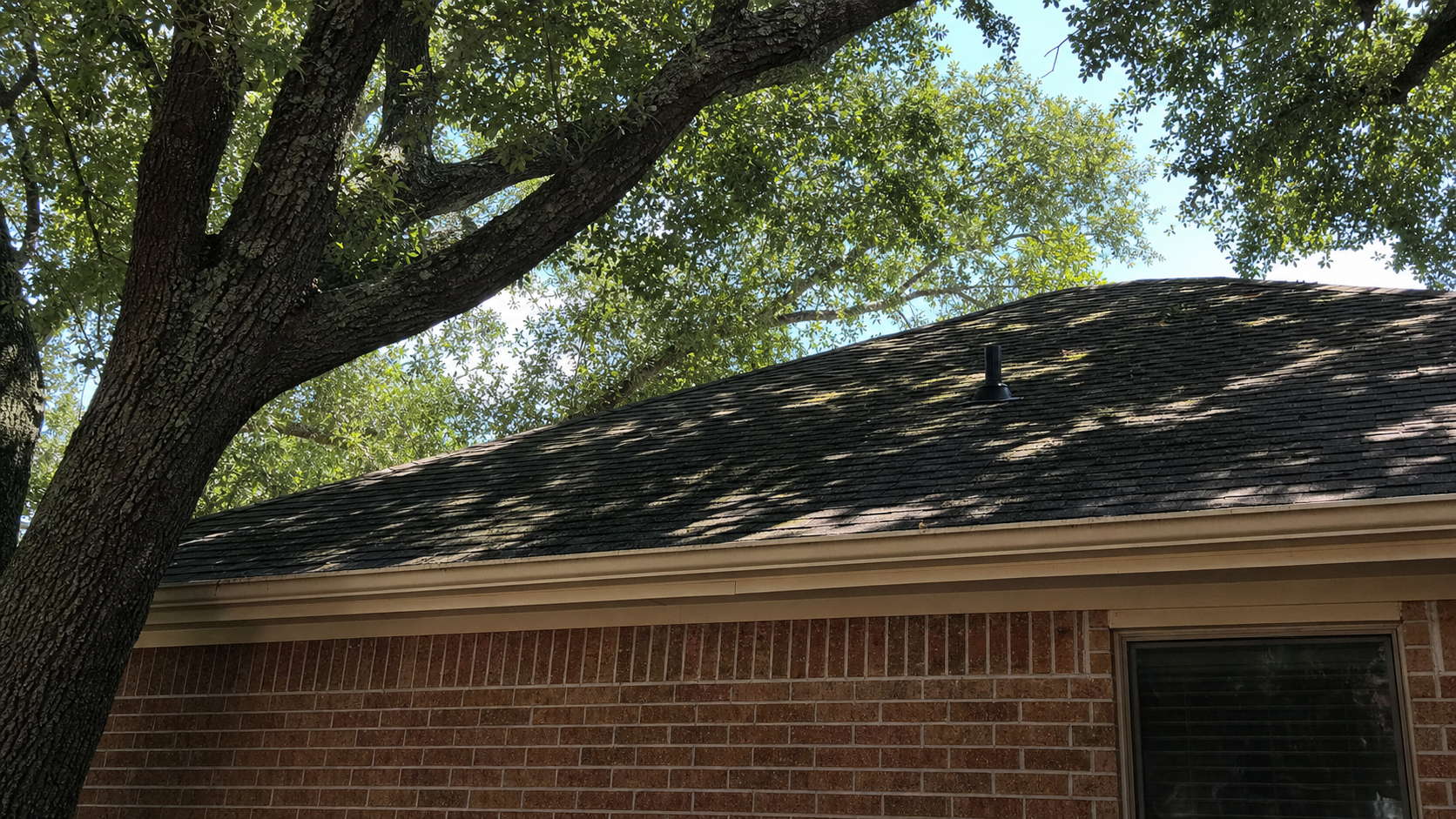 North-facing Houston roof slope in live oak shade with algae discoloration