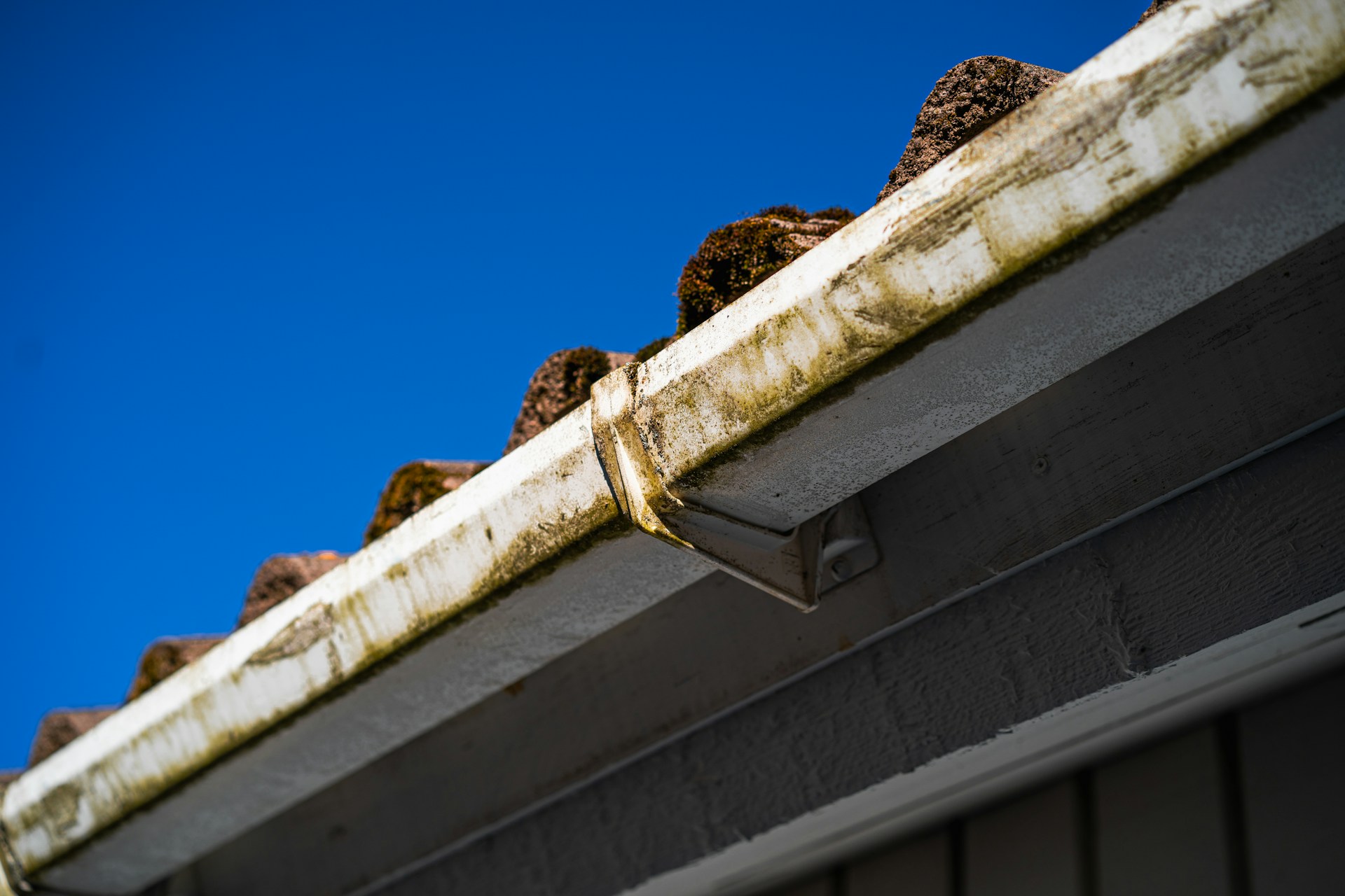 Neglected gutter clogged with moss and debris