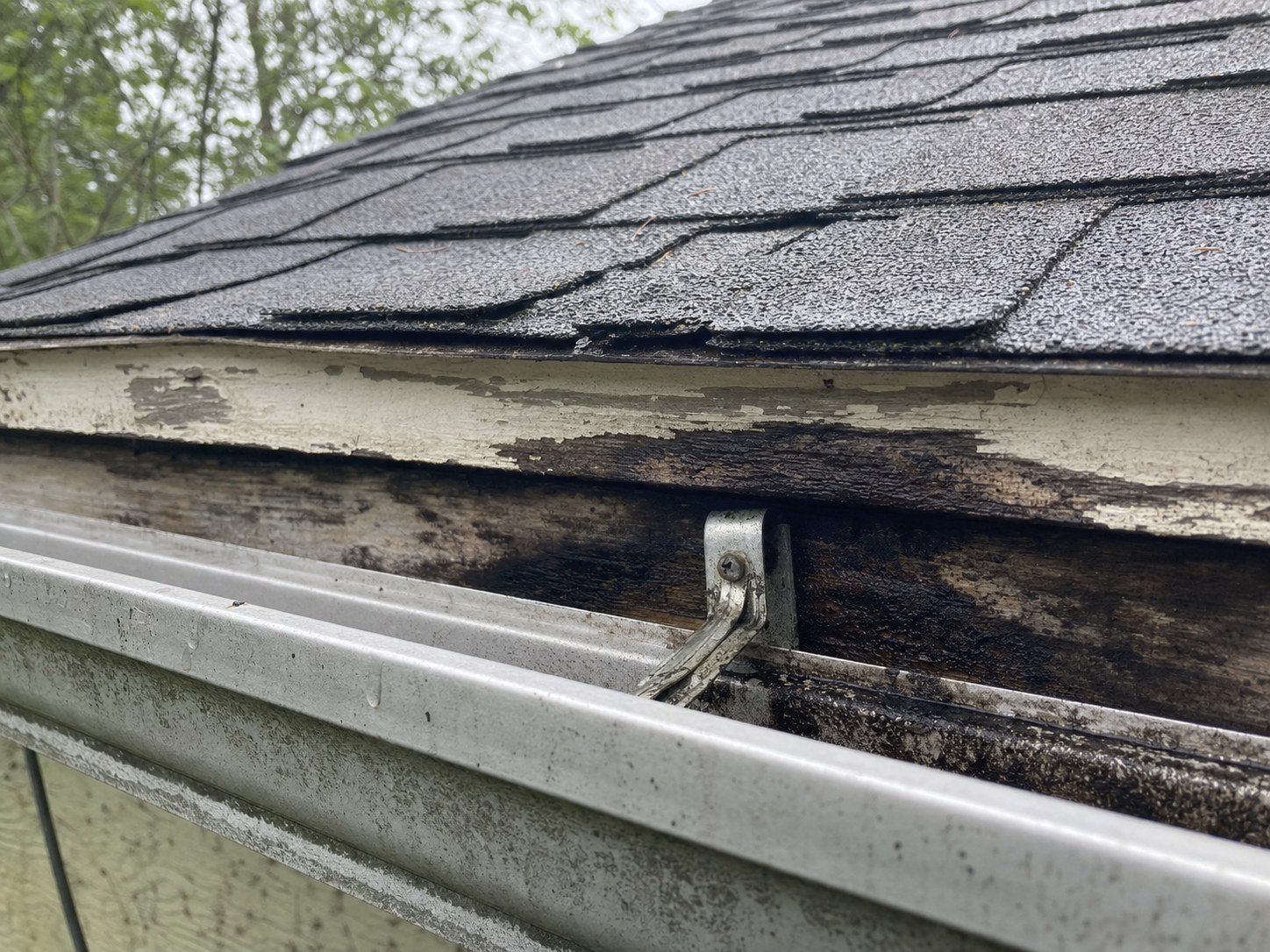 Houston home fascia rot behind aluminum gutter where gutter apron was missing