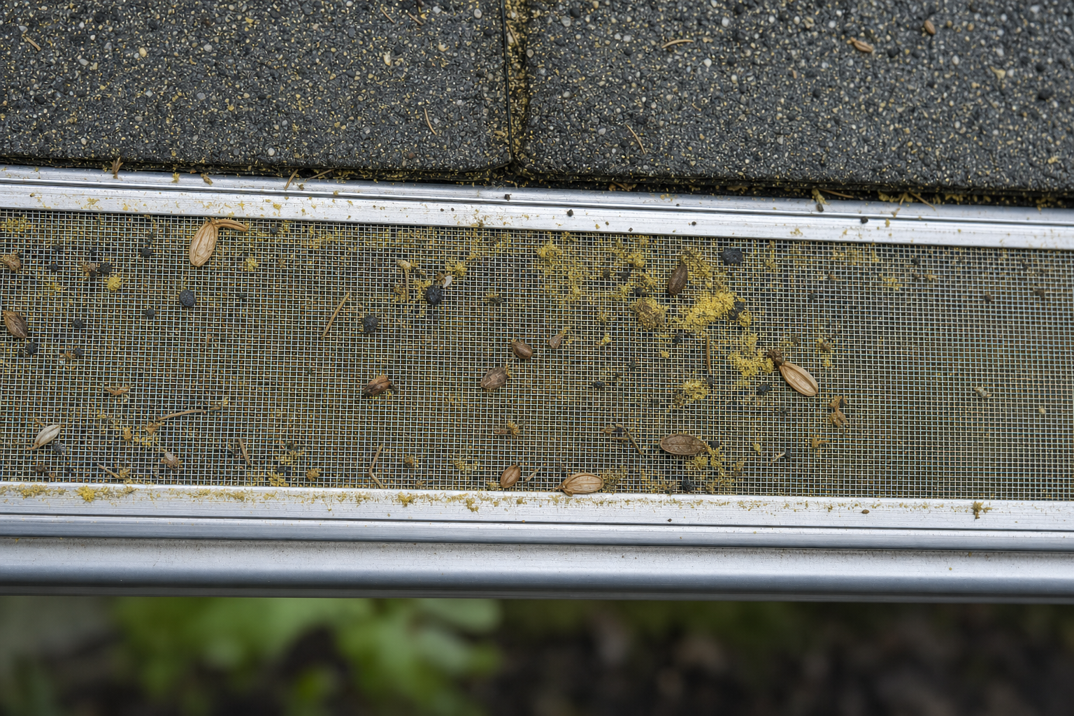 Micro-mesh gutter guard surface covered with tree pollen, seed pods, and shingle grit needing periodic cleaning