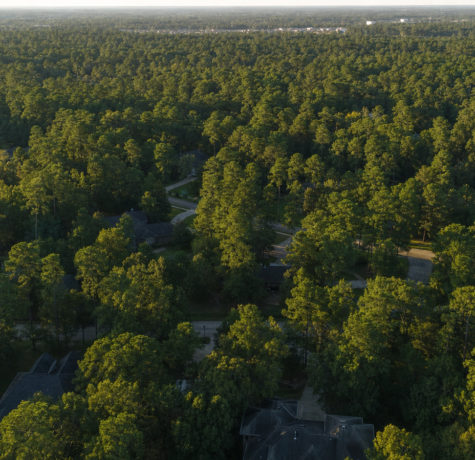 Aerial view of a Kingwood Texas neighborhood hidden beneath a dense loblolly pine and oak tree canopy