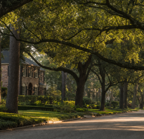 Wide street view of the memorial houston canopy over an estate home with dense live oak shade over the roof