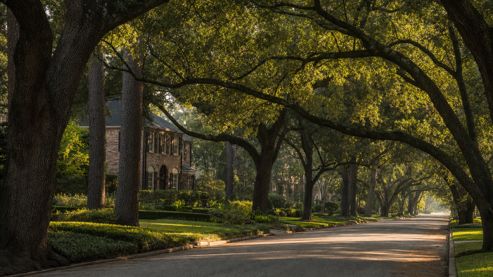 Wide street view of the memorial houston canopy over an estate home with dense live oak shade over the roof