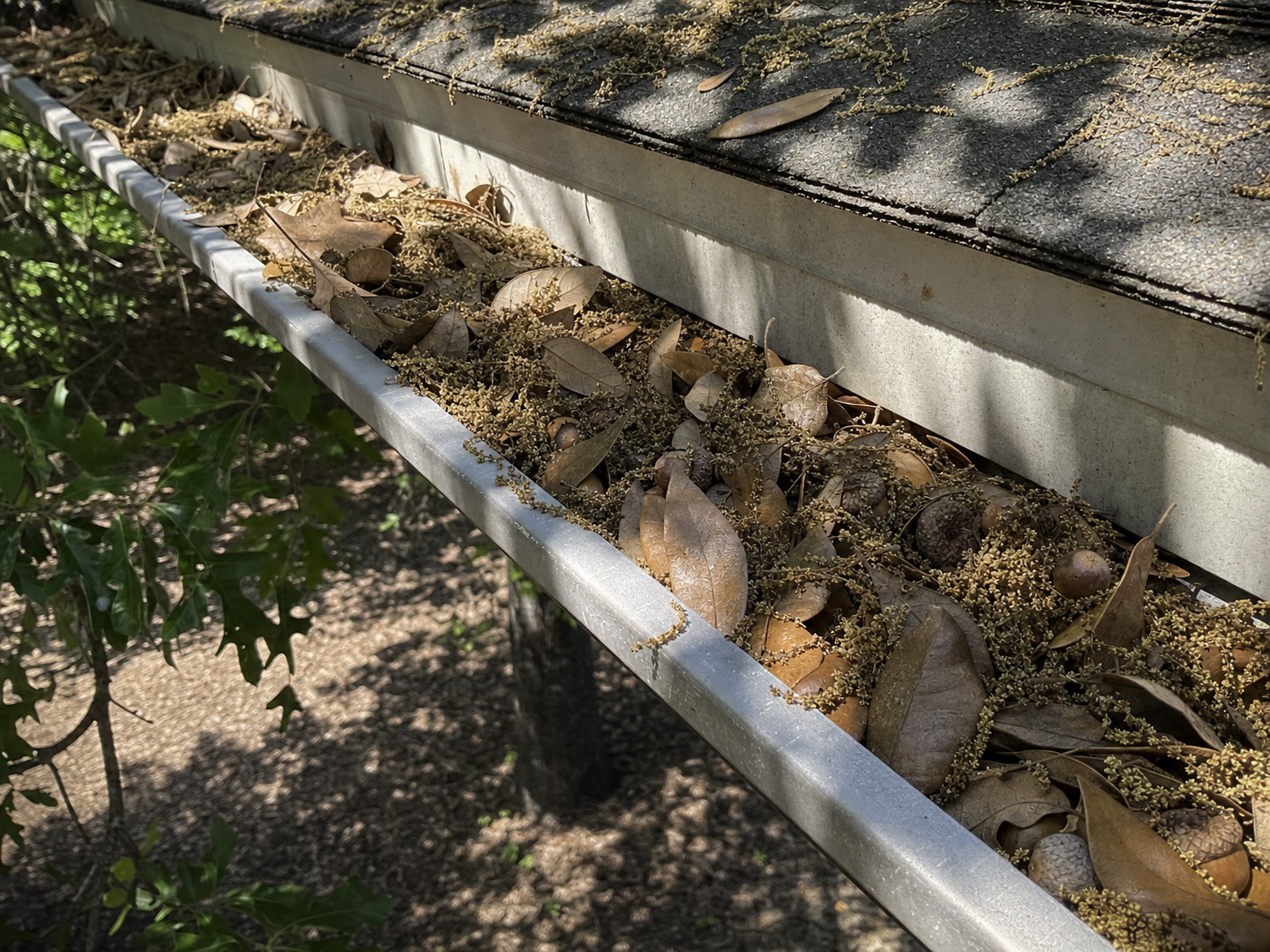 Close-up of an aluminum gutter along a Memorial home fascia showing live oak leaves and pollen catkin debris
