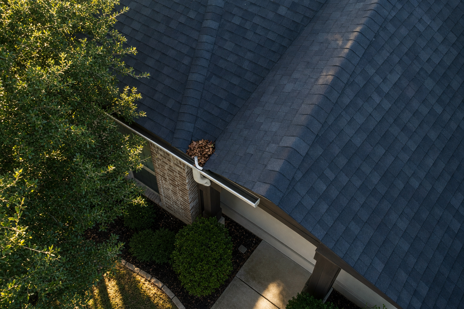 Aerial view of a Houston asphalt shingle roof and metal gutter with fallen live oak leaves near a downspout